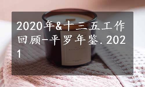 2020年&十三五工作回顾-平罗年鉴.2021