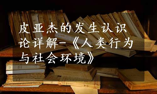 皮亚杰的发生认识论详解-《人类行为与社会环境》