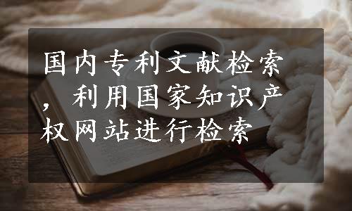 国内专利文献检索，利用国家知识产权网站进行检索