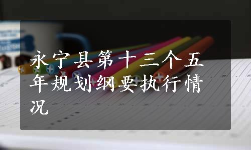 永宁县第十三个五年规划纲要执行情况