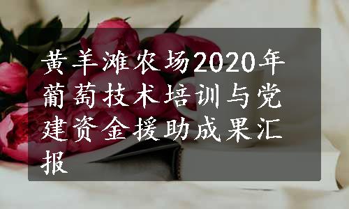 黄羊滩农场2020年葡萄技术培训与党建资金援助成果汇报