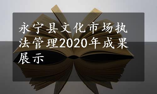 永宁县文化市场执法管理2020年成果展示