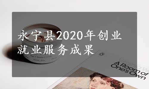 永宁县2020年创业就业服务成果