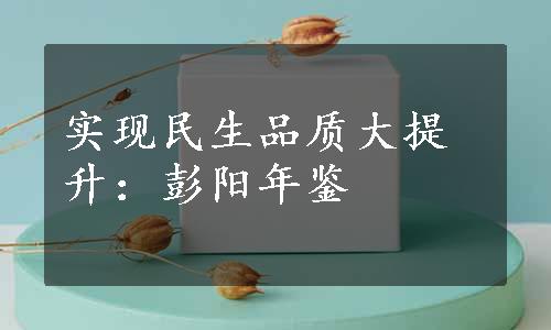 实现民生品质大提升：彭阳年鉴