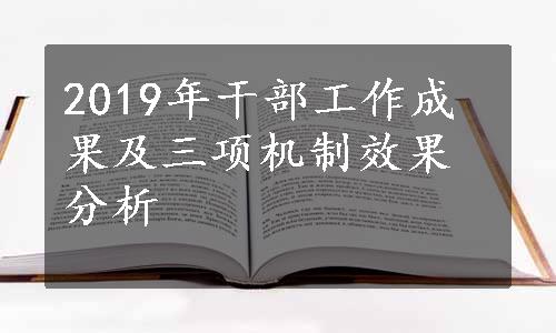 2019年干部工作成果及三项机制效果分析