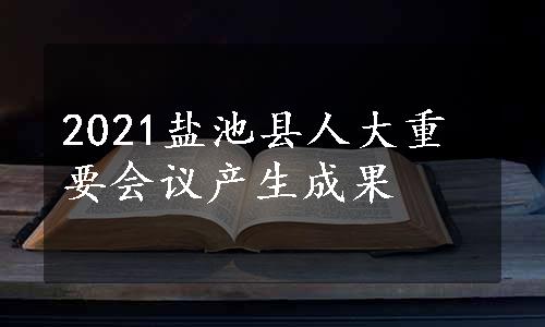 2021盐池县人大重要会议产生成果