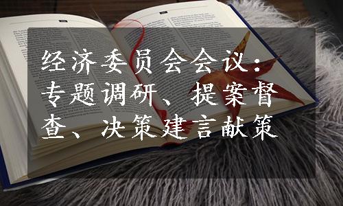 经济委员会会议：专题调研、提案督查、决策建言献策