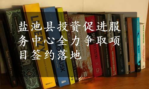 盐池县投资促进服务中心全力争取项目签约落地