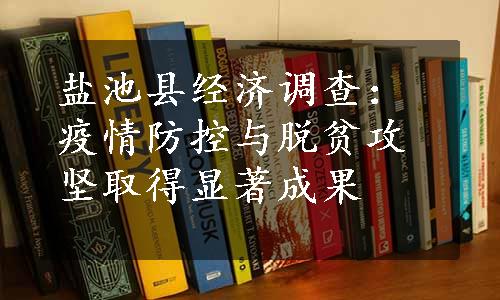 盐池县经济调查：疫情防控与脱贫攻坚取得显著成果