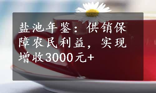 盐池年鉴：供销保障农民利益，实现增收3000元+