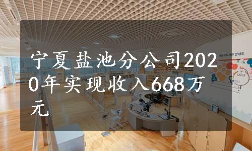 宁夏盐池分公司2020年实现收入668万元