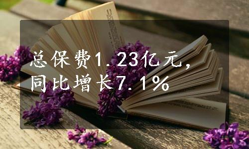 总保费1.23亿元，同比增长7.1％