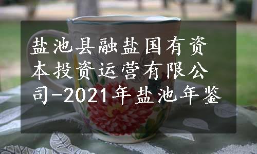 盐池县融盐国有资本投资运营有限公司-2021年盐池年鉴