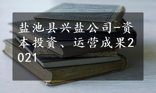 盐池县兴盐公司-资本投资、运营成果2021