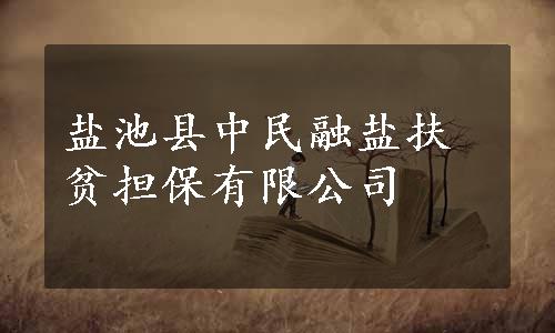 盐池县中民融盐扶贫担保有限公司