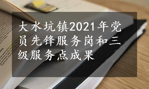 大水坑镇2021年党员先锋服务岗和三级服务点成果