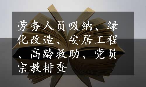 劳务人员吸纳、绿化改造、安居工程、高龄救助、党员宗教排查