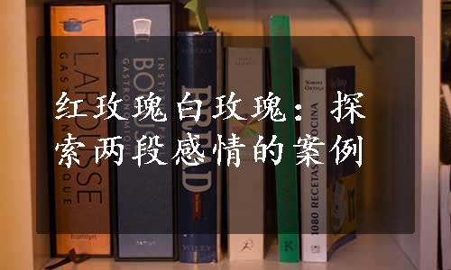 红玫瑰白玫瑰：探索两段感情的案例