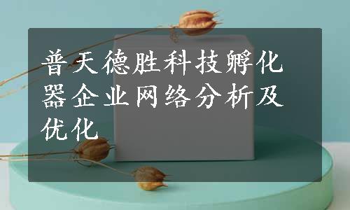 普天德胜科技孵化器企业网络分析及优化