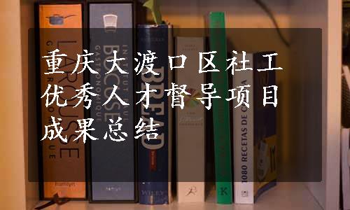 重庆大渡口区社工优秀人才督导项目成果总结