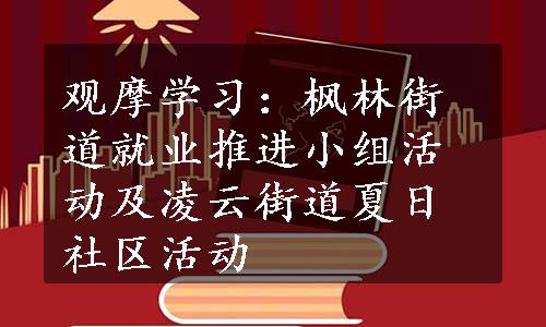 观摩学习：枫林街道就业推进小组活动及凌云街道夏日社区活动