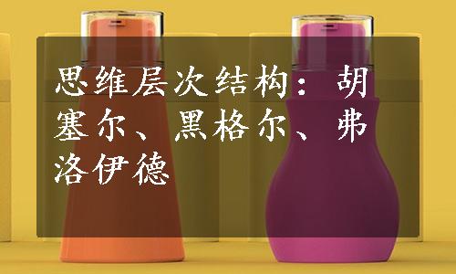 思维层次结构：胡塞尔、黑格尔、弗洛伊德