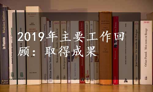 2019年主要工作回顾：取得成果