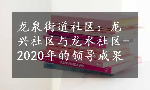 龙泉街道社区：龙兴社区与龙水社区-2020年的领导成果