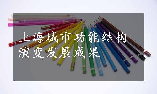 上海城市功能结构演变发展成果