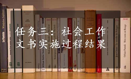 任务三：社会工作文书实施过程结果