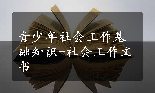 青少年社会工作基础知识-社会工作文书