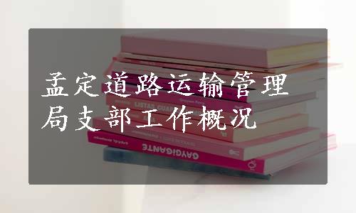 孟定道路运输管理局支部工作概况