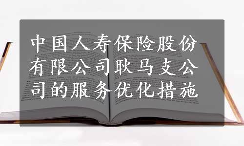 中国人寿保险股份有限公司耿马支公司的服务优化措施