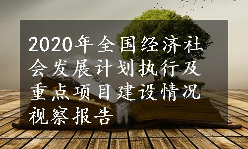 2020年全国经济社会发展计划执行及重点项目建设情况视察报告