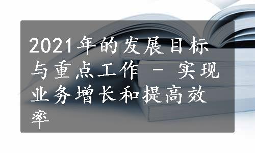 2021年的发展目标与重点工作 - 实现业务增长和提高效率