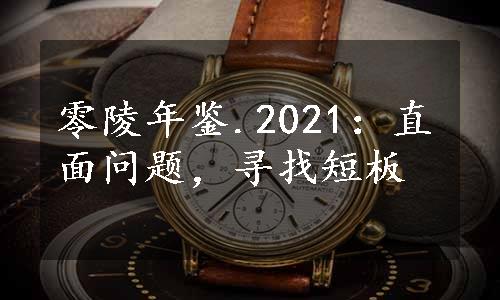 零陵年鉴.2021：直面问题，寻找短板