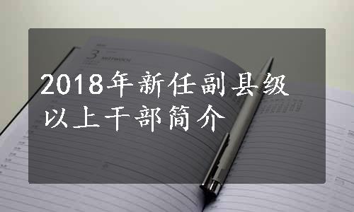 2018年新任副县级以上干部简介 