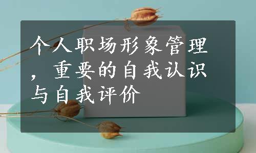 个人职场形象管理，重要的自我认识与自我评价