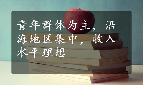 青年群体为主，沿海地区集中，收入水平理想