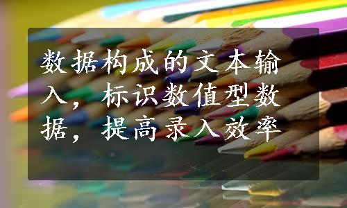 数据构成的文本输入，标识数值型数据，提高录入效率