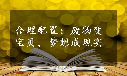 合理配置：废物变宝贝，梦想成现实