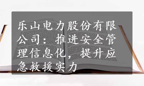 乐山电力股份有限公司：推进安全管理信息化，提升应急救援实力