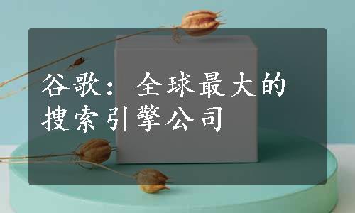 谷歌：全球最大的搜索引擎公司