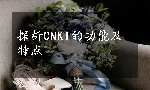 探析CNKI的功能及特点