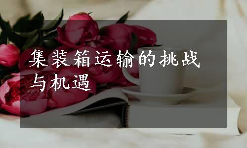 集装箱运输的挑战与机遇