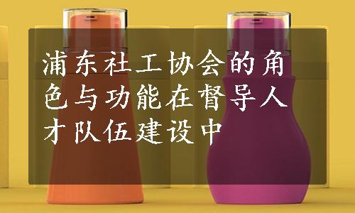 浦东社工协会的角色与功能在督导人才队伍建设中