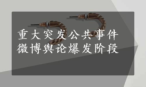 重大突发公共事件微博舆论爆发阶段