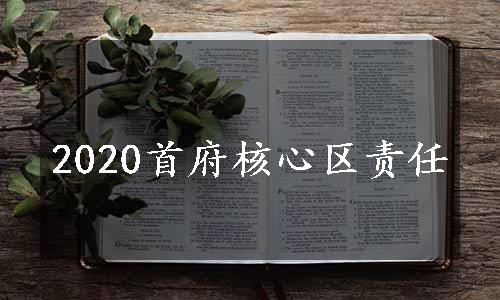 2020首府核心区责任