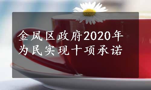 金凤区政府2020年为民实现十项承诺