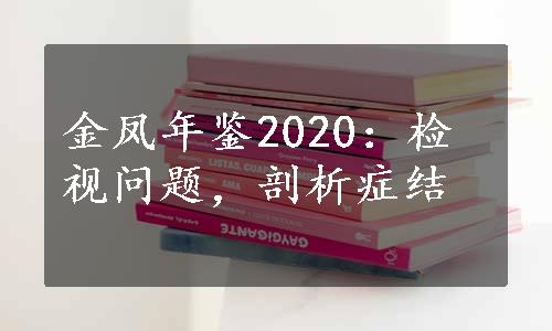 金凤年鉴2020：检视问题，剖析症结